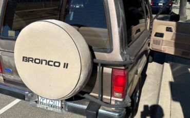 Ford-Bronco-2-1989-brown-136472-1