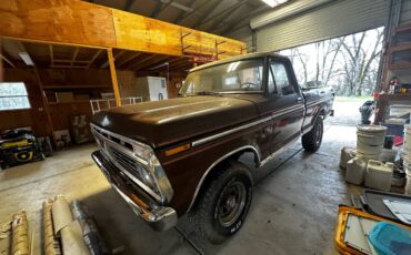 Ford-F-100-1975-brown-168981-1