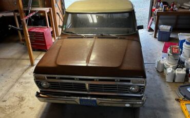 Ford-F-100-1975-brown-168981-2