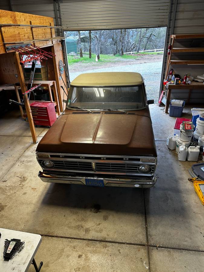 Ford-F-100-1975-brown-168981-2