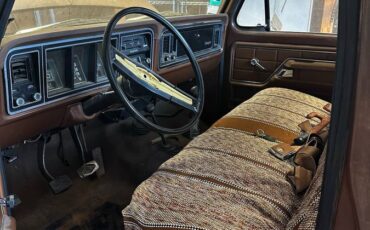 Ford-F-100-1975-brown-168981-3