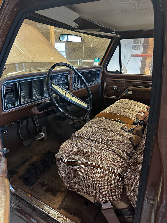 Ford-F-100-1975-brown-168981-3