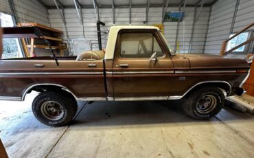 Ford-F-100-1975-brown-168981