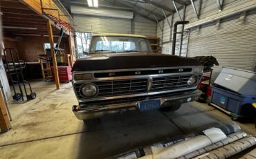 Ford-F-100-1975-brown-168981-4