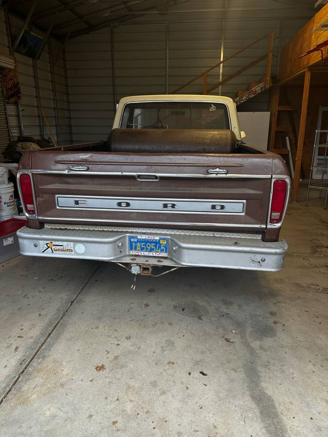 Ford-F-100-1975-brown-168981-5