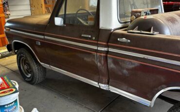 Ford-F-100-1975-brown-168981-6