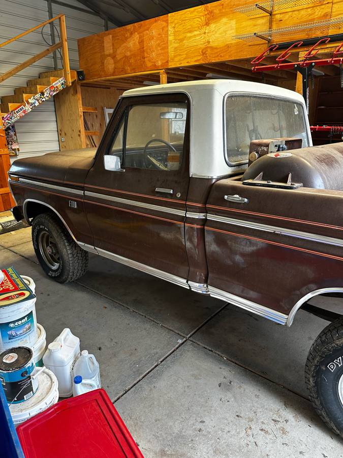 Ford-F-100-1975-brown-168981-6