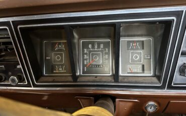 Ford-F-100-1975-brown-168981-8