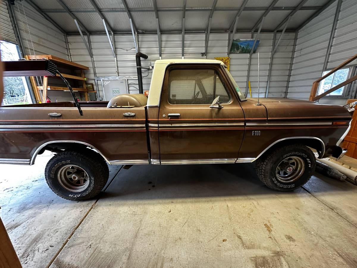 Ford-F-100-1975-brown-168981