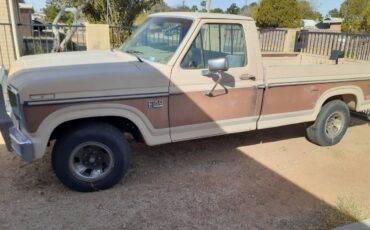 Ford-F-150-1985-brown-86888-13