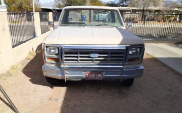 Ford-F-150-1985-brown-86888-6