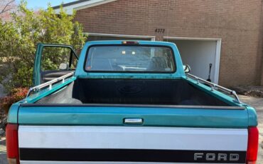 Ford-F-150-1995-green-138780-3