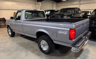 Ford-F-150-Pickup-1995-Gray-Gray-131660-1