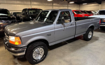 Ford-F-150-Pickup-1995-Gray-Gray-131660-10