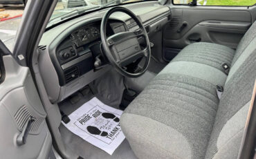 Ford-F-150-Pickup-1995-Gray-Gray-131660-4