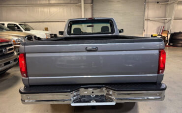 Ford-F-150-Pickup-1995-Gray-Gray-131660-9