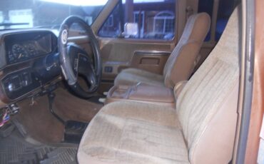 Ford-F-250-1988-brown-205996-10