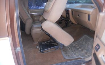 Ford-F-250-1988-brown-205996-12