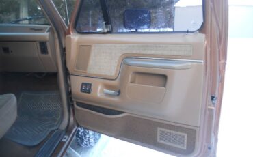 Ford-F-250-1988-brown-205996-13