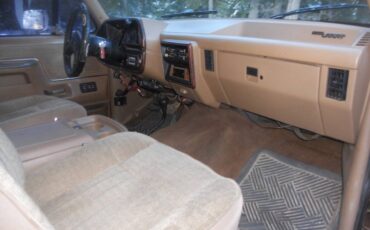 Ford-F-250-1988-brown-205996-14