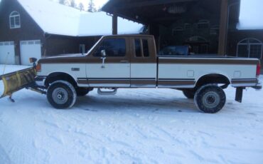 Ford-F-250-1988-brown-205996-2