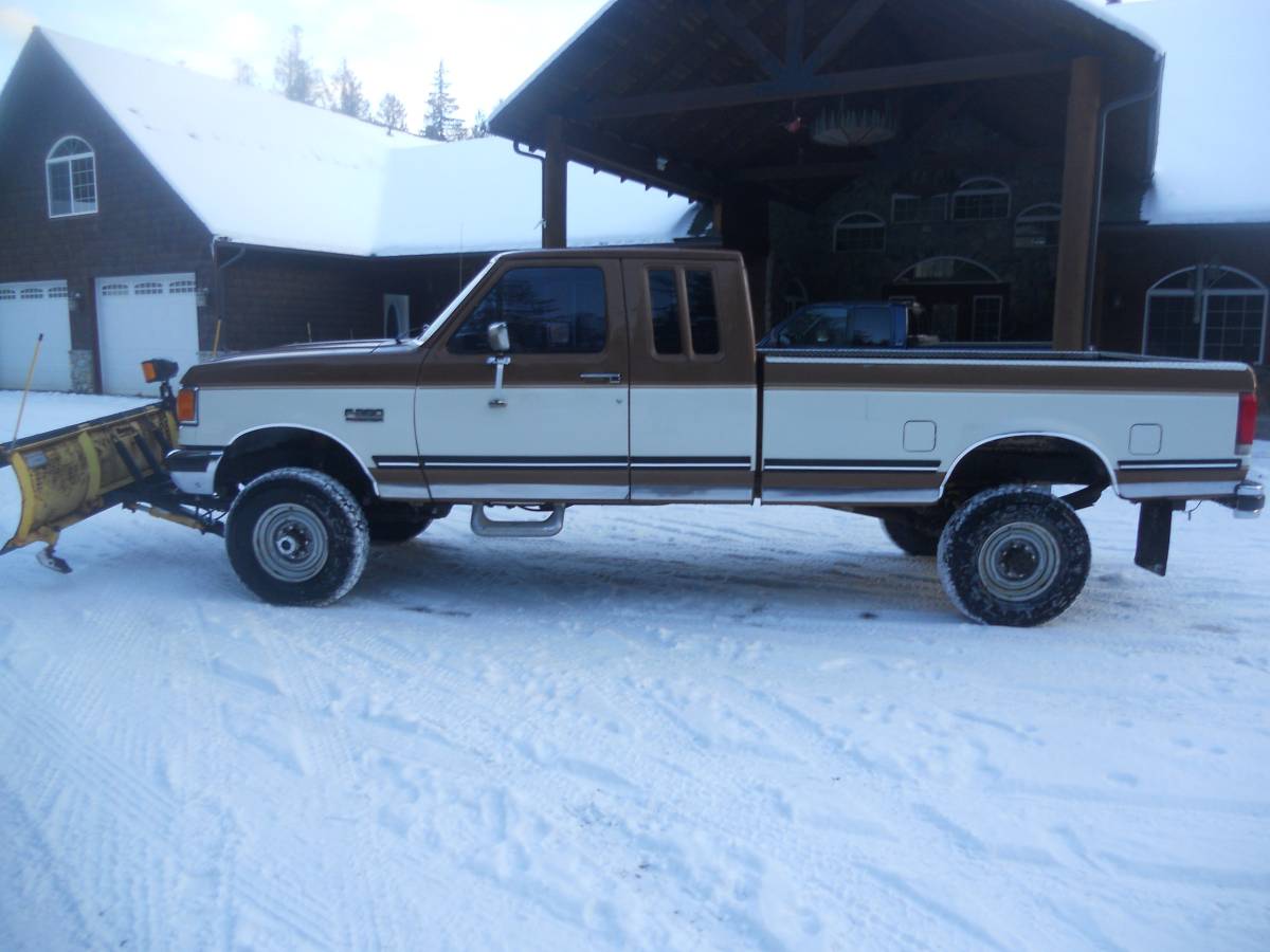 Ford-F-250-1988-brown-205996-2