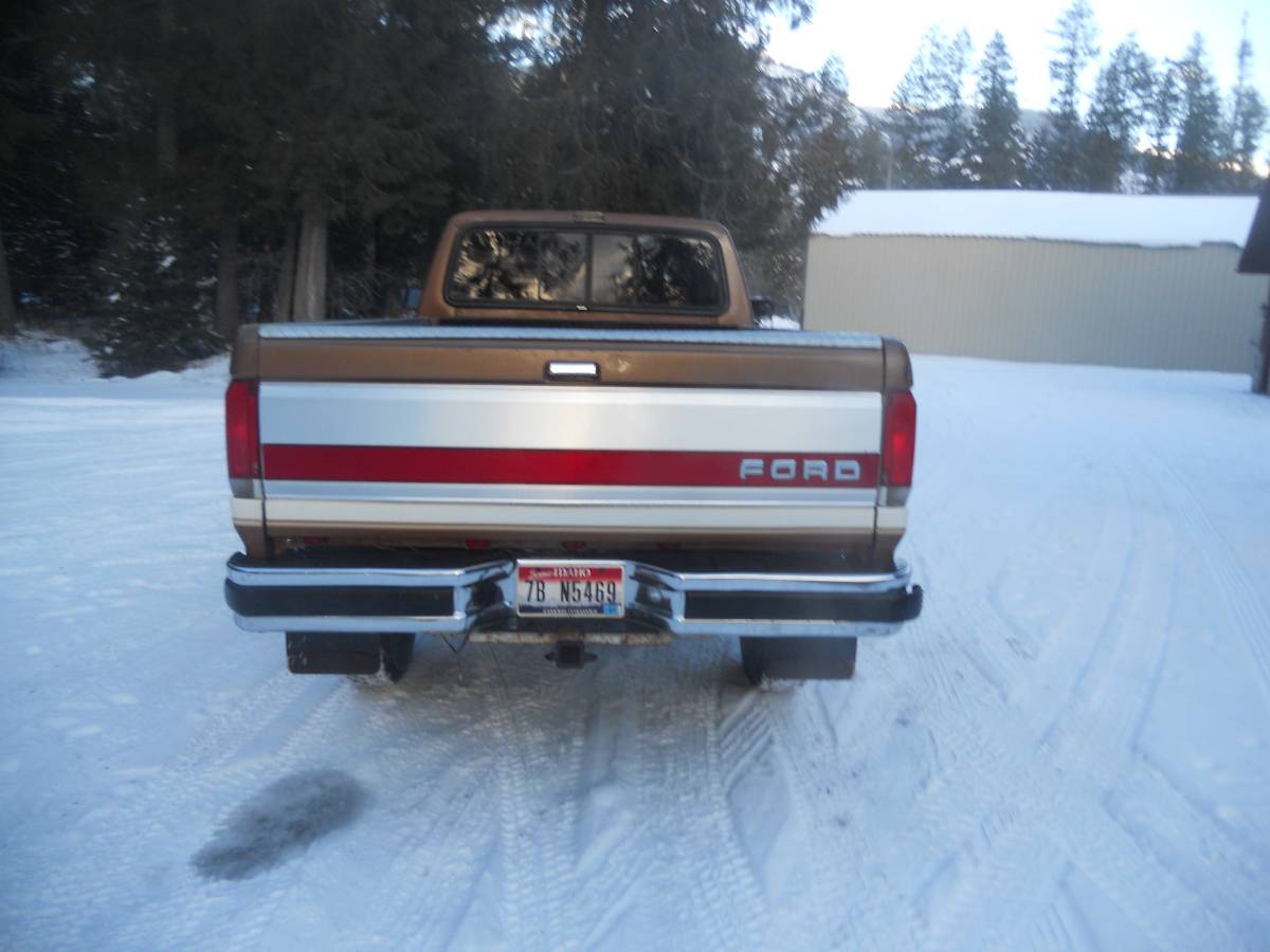 Ford-F-250-1988-brown-205996-3