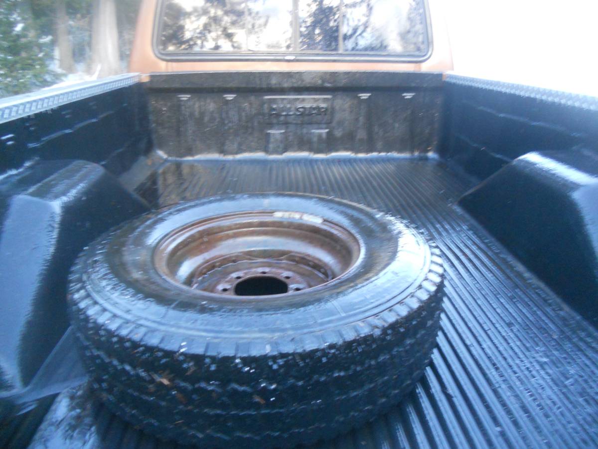 Ford-F-250-1988-brown-205996-4