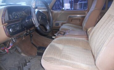 Ford-F-250-1988-brown-205996-6