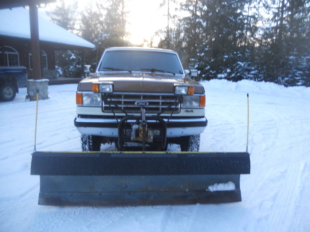 Ford-F-250-1988-brown-205996