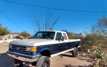 Ford-F-250-xlt-lariat-1990-custom-167774-1