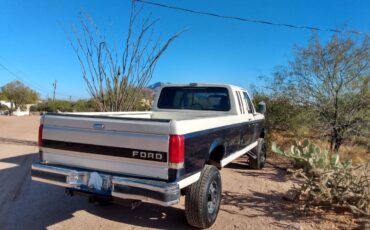 Ford-F-250-xlt-lariat-1990-custom-167774-3