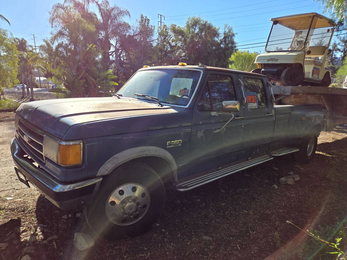 Ford-F-350-1989-4828-1