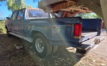 Ford-F-350-1989-4828-7