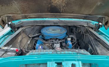 Ford-F100-1966-16848-13