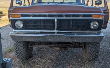 Ford-F100-1976-160934-4