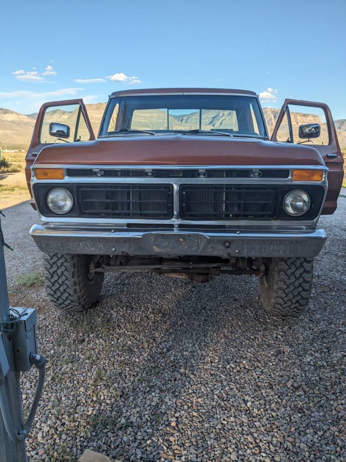 Ford-F100-1976-160934-4