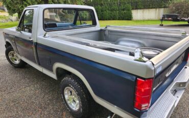 Ford-F100-1982-silver-160934-10