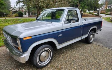 Ford-F100-1982-silver-160934-12