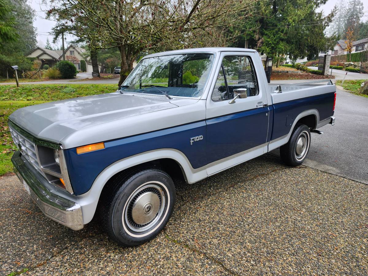 Ford-F100-1982-silver-160934-12