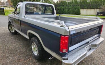 Ford-F100-1982-silver-160934-2