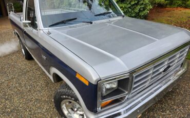 Ford-F100-1982-silver-160934-6