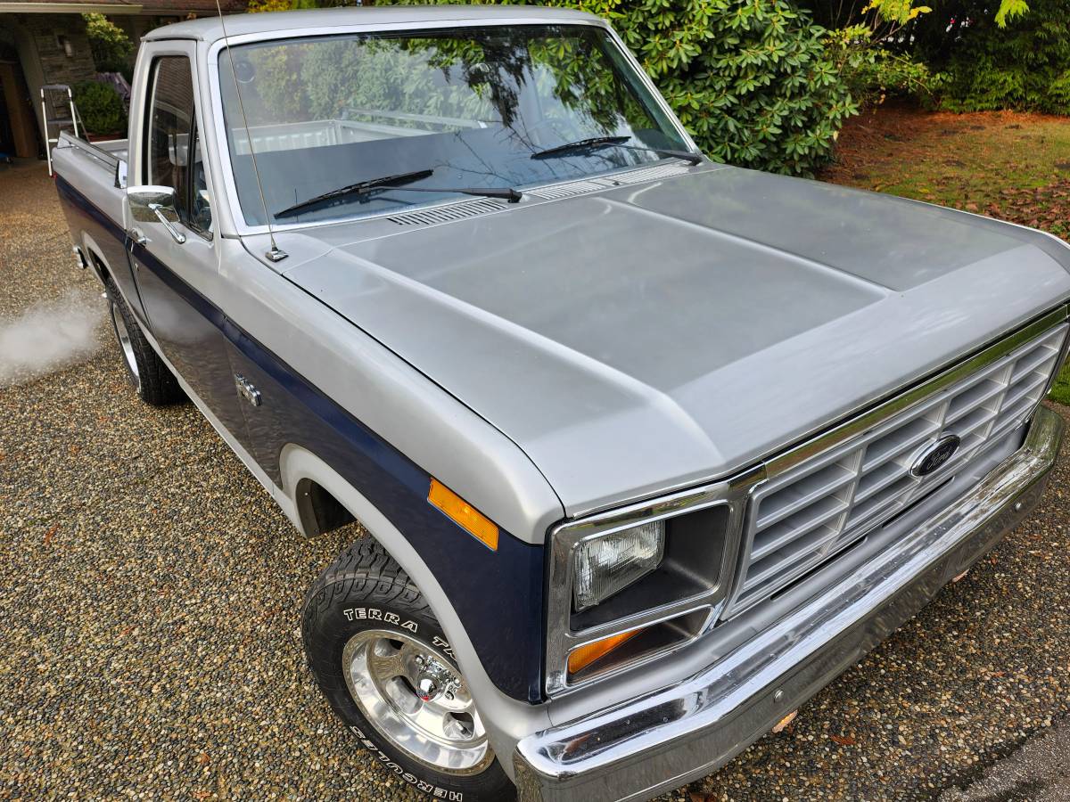 Ford-F100-1982-silver-160934-6