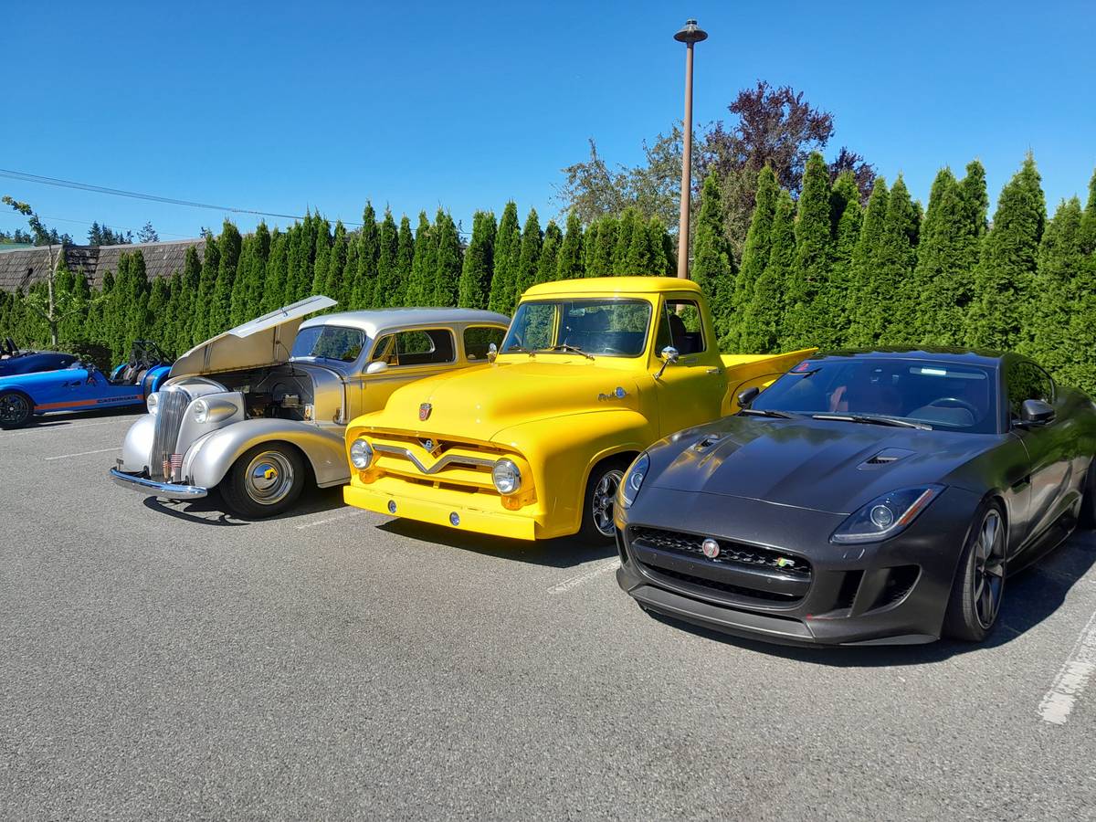 Ford-F100-custom-cab-1955-yellow-27037-6