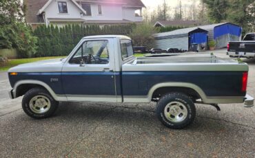 Ford-F100-pickup-1982-silver-160934-1