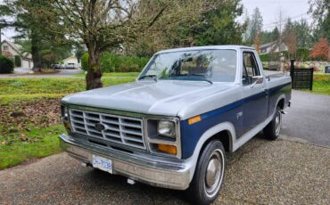 Ford-F100-pickup-1982-silver-160934-12