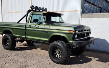 Ford-F250-4x4-1976-16093-14