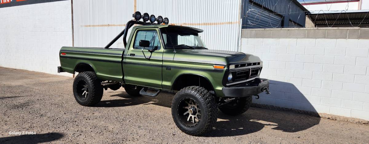 Ford-F250-4x4-1976-16093-14