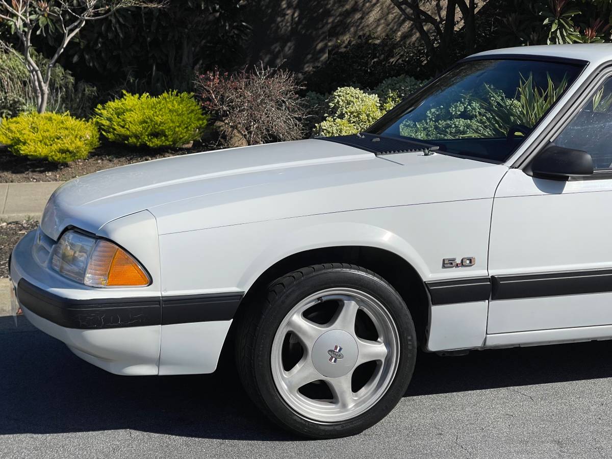 Ford-Mustang-1991-204386-1