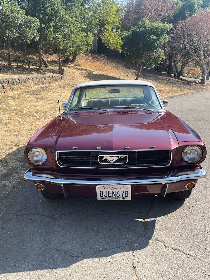 Ford-Mustang-289-1966-red-51499-1